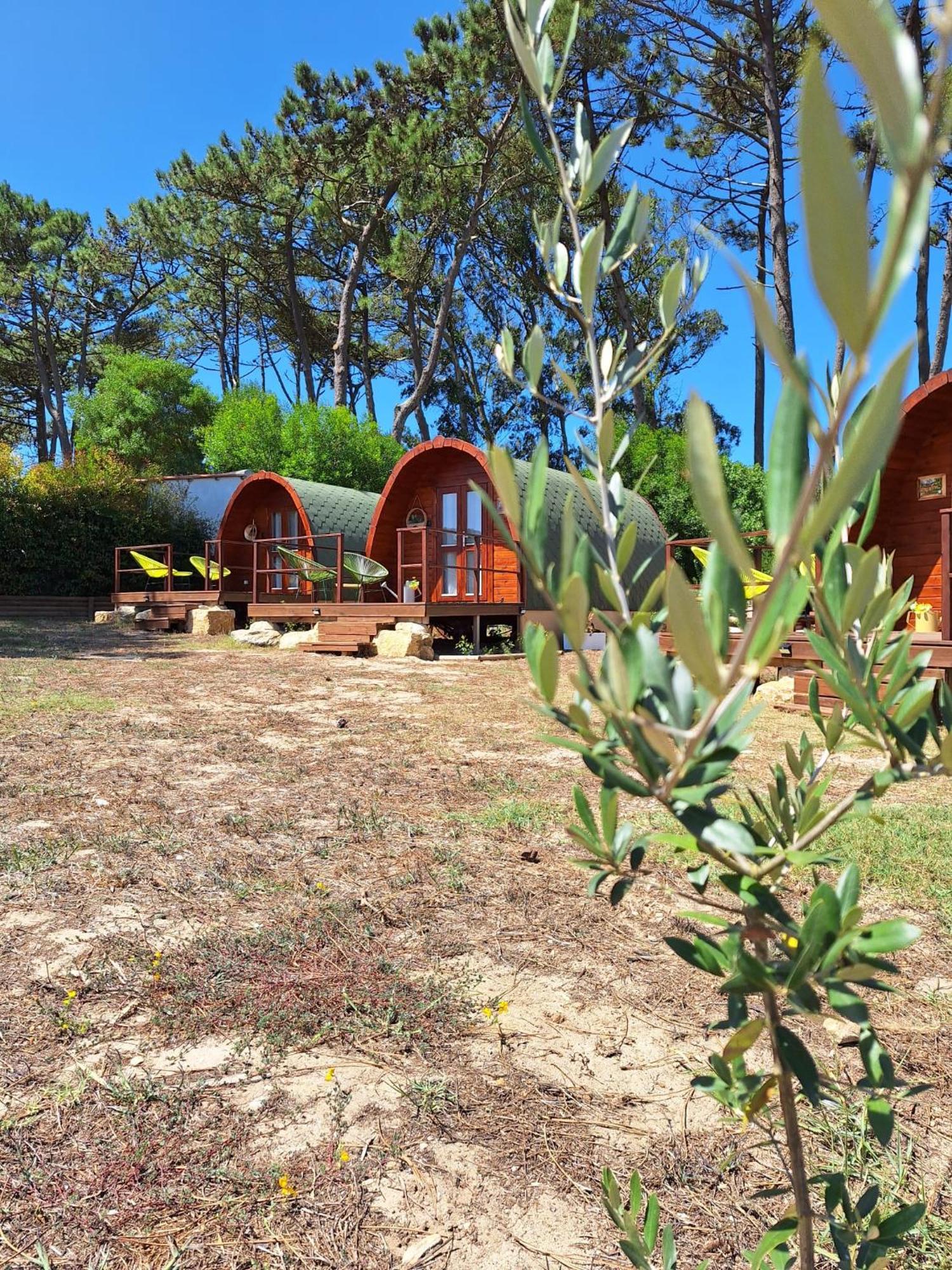 Vila Bastardo Glamping Pod Hotel Синтра Екстериор снимка